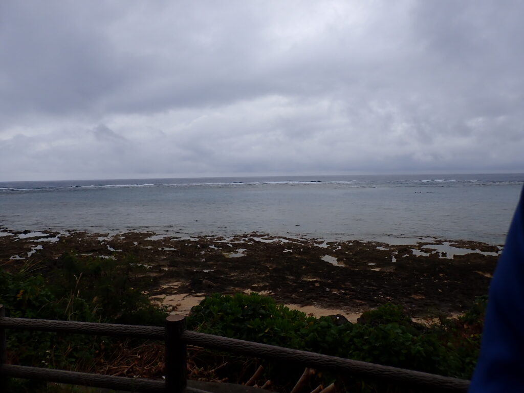 【自然体験ジョン万パーク 天然水族感】ウミガメ 自然体験シュノーケリング 沖縄旅行 家族旅行 初心者