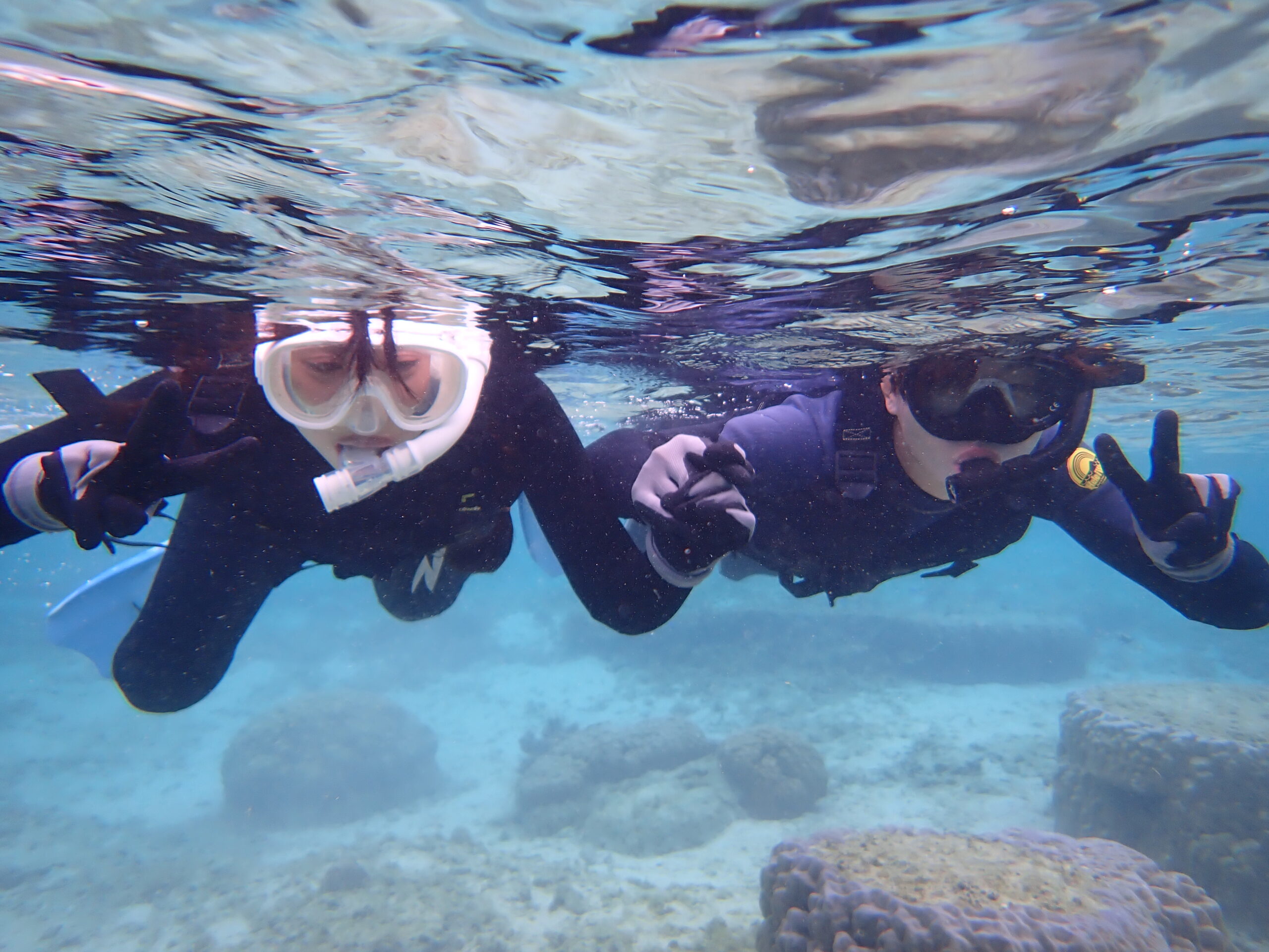 【自然体験ジョン万パーク 天然水族感】ウミガメ 学生 卒業旅行 自然体験シュノーケリング ウミガメ 家族 沖縄旅行 新婚旅行