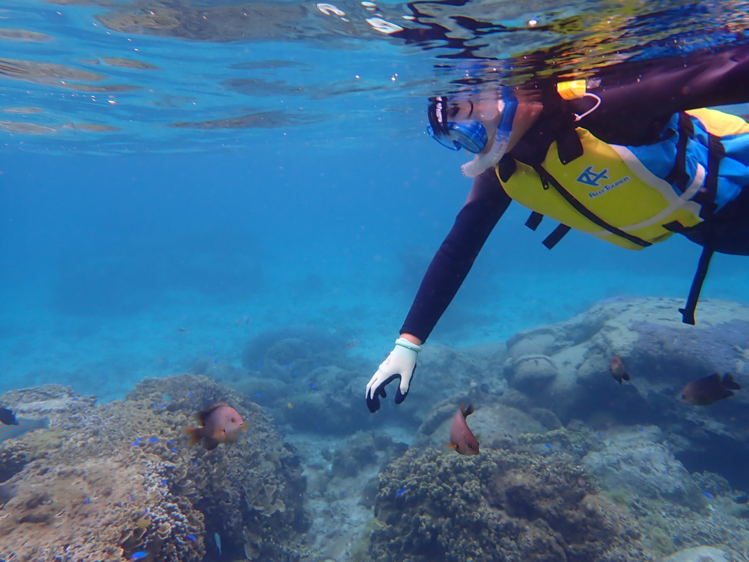 【自然体験ジョン万パーク 天然水族感】ウミガメ 自然体験シュノーケリング 沖縄旅行 家族旅行 初心者