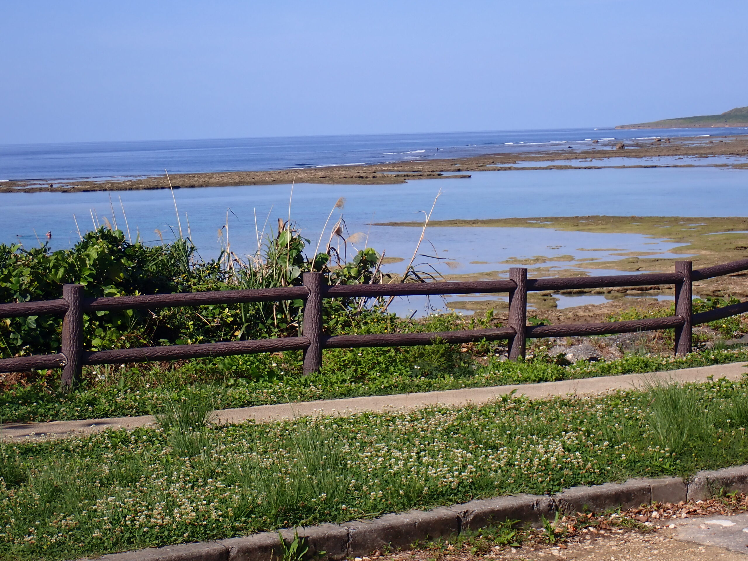 【自然体験ジョン万パーク 天然水族感】ウミガメ 自然体験シュノーケリング 沖縄旅行 家族旅行 初心者