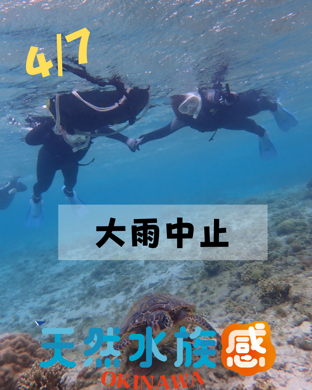 【自然体験ジョン万パーク 天然水族感】ウミガメ 自然体験シュノーケリング 沖縄旅行 家族旅行 初心者