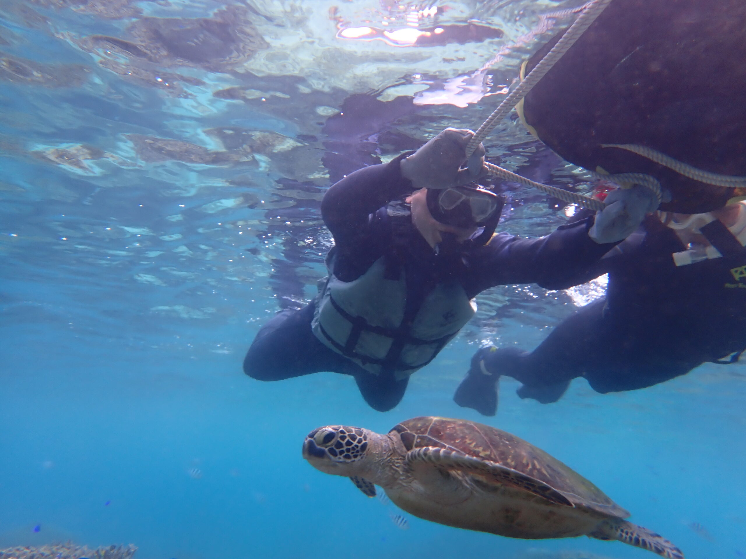 【自然体験ジョン万パーク 天然水族感】ウミガメ 自然体験シュノーケリング 沖縄旅行 家族旅行 初心者