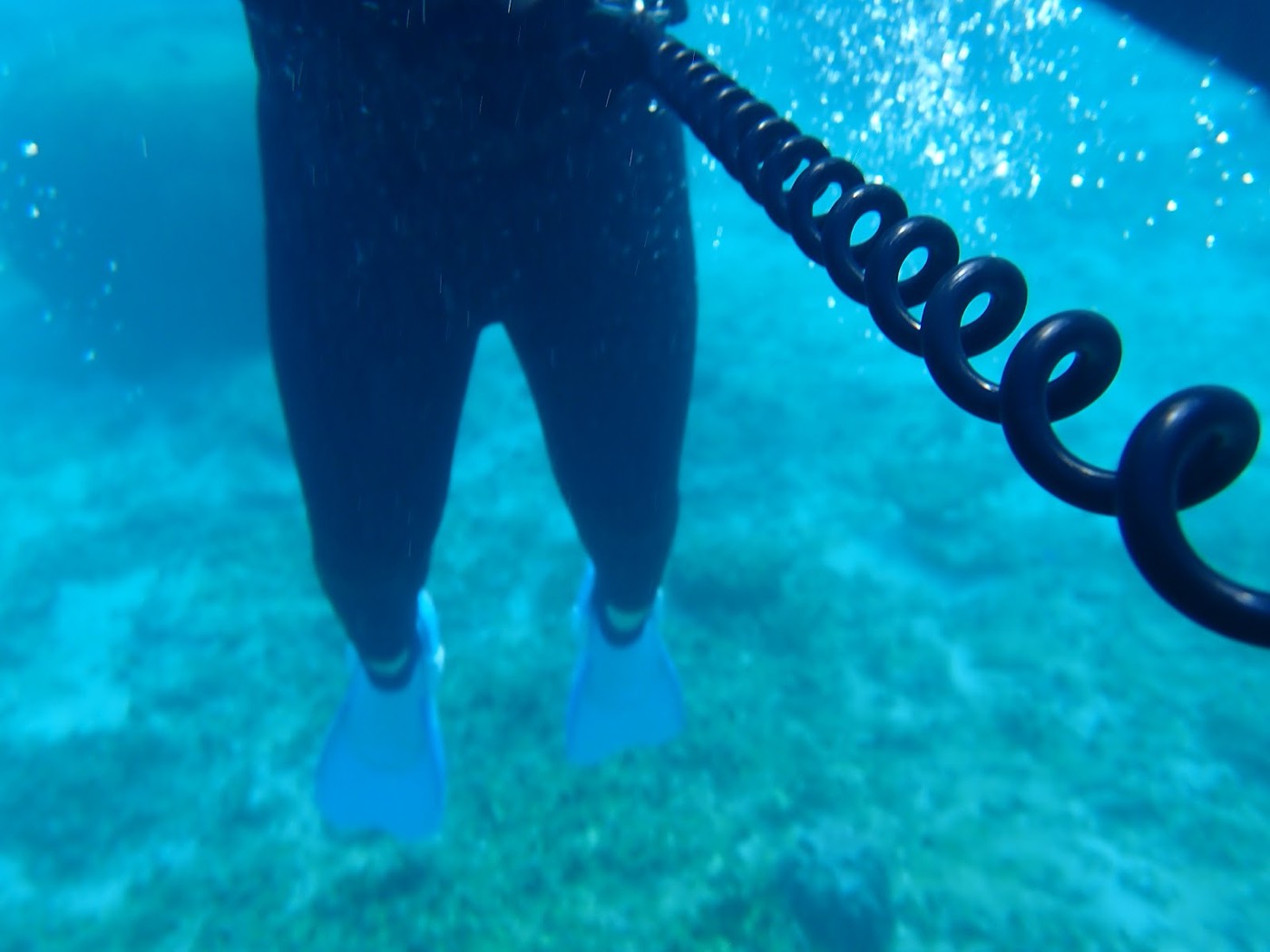 海中を進むシュノーケラー