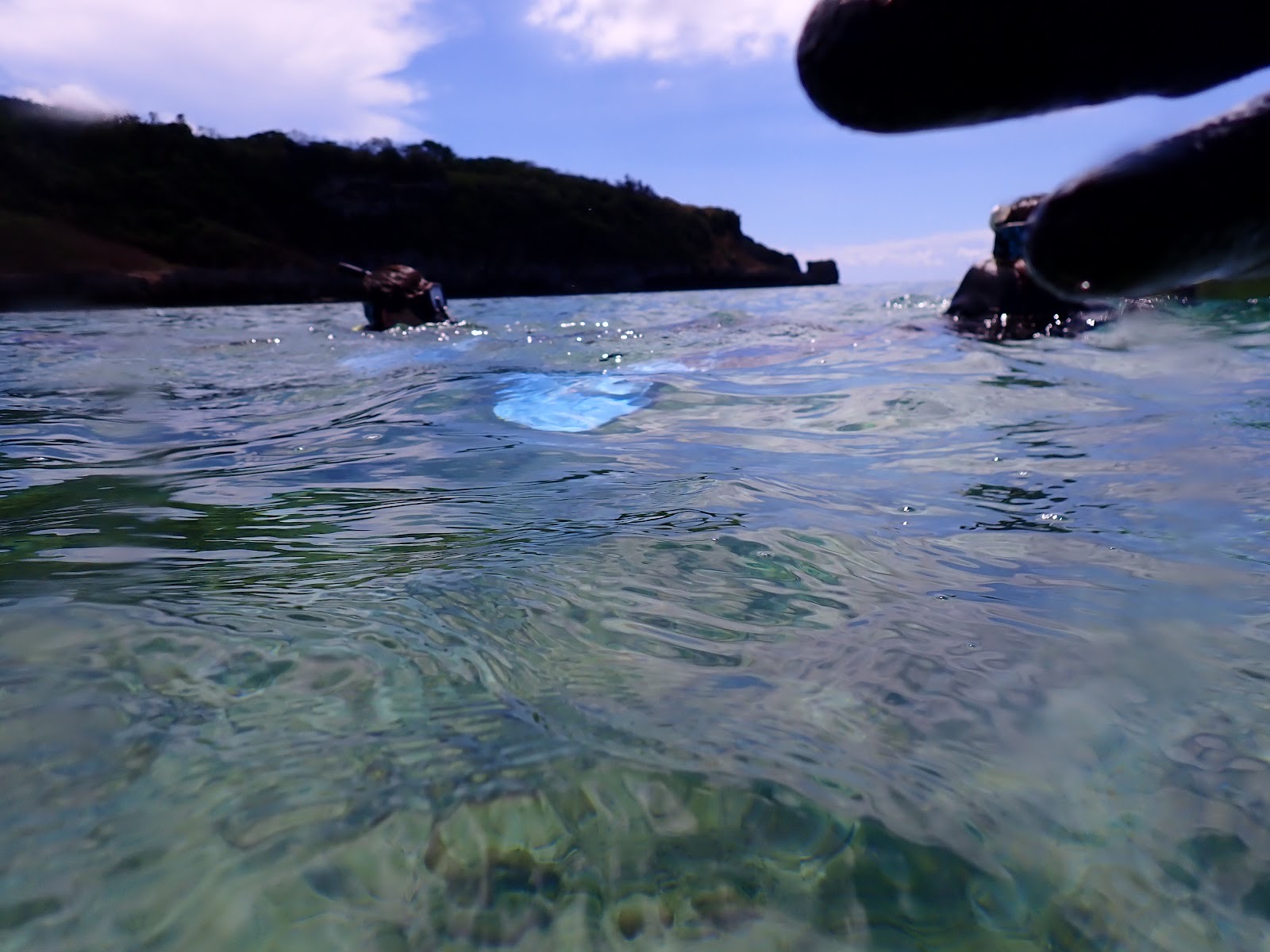 過去のツアーで撮影した水面からの視点で広がる青空と海