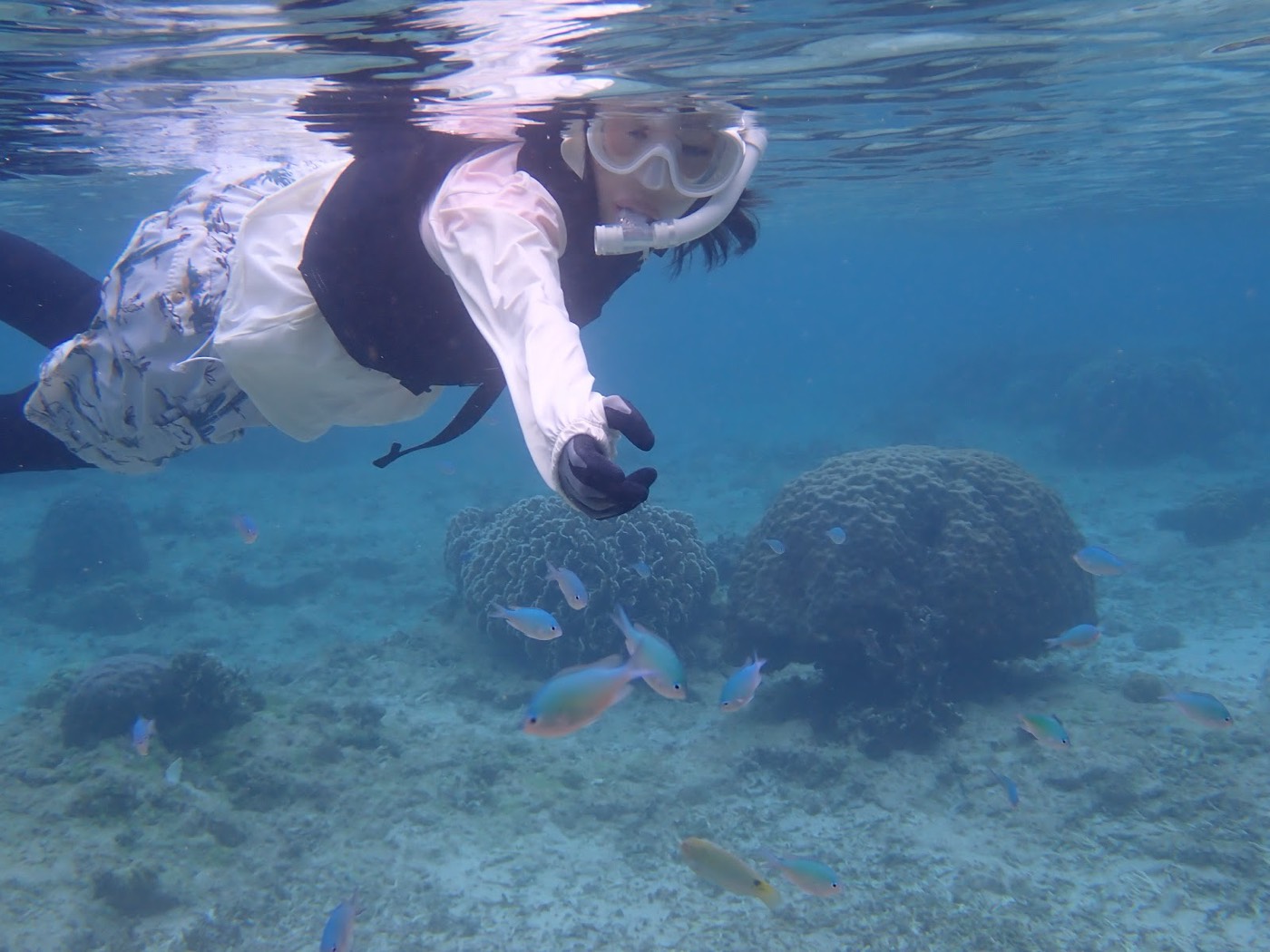 水中でマスクを着用した女性が、群れる小魚たちを観察しながら泳ぐ様子