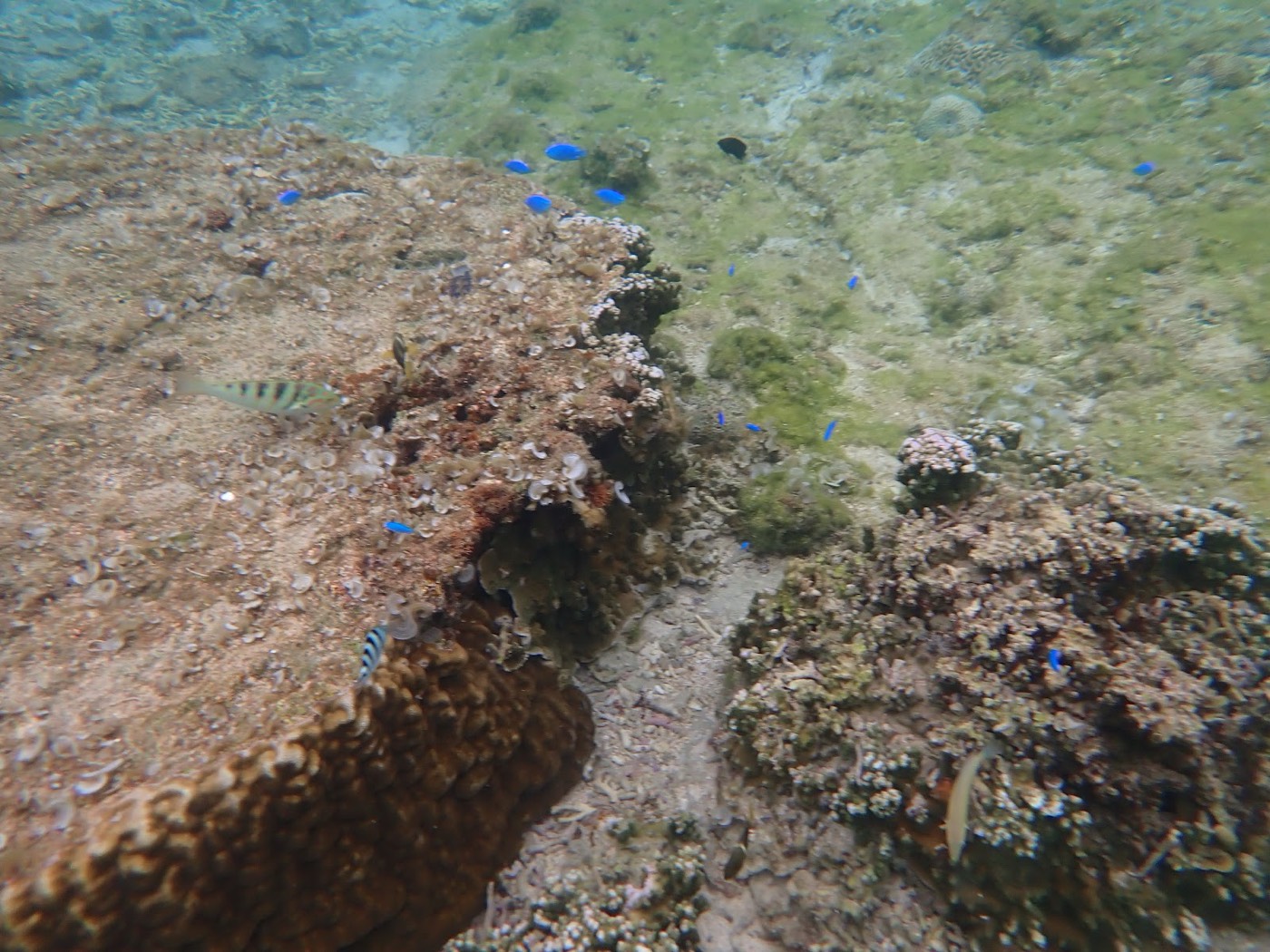 浜辺で休憩し、タオルを手に海を眺める参加者