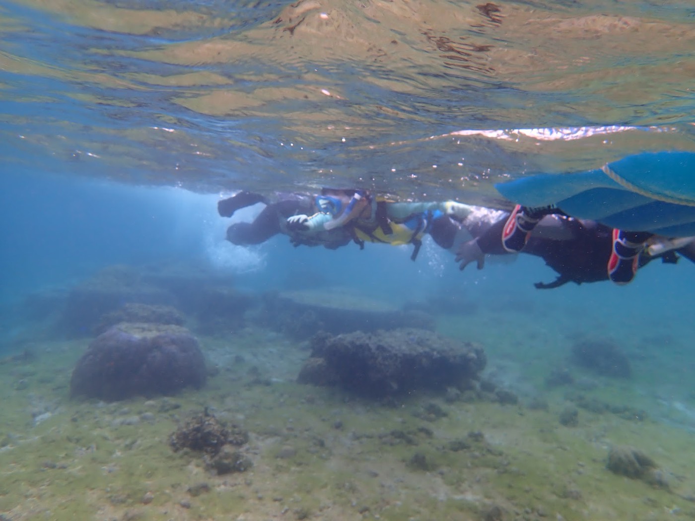 自然体験シュノーケルで紹介する沖縄の海の様子