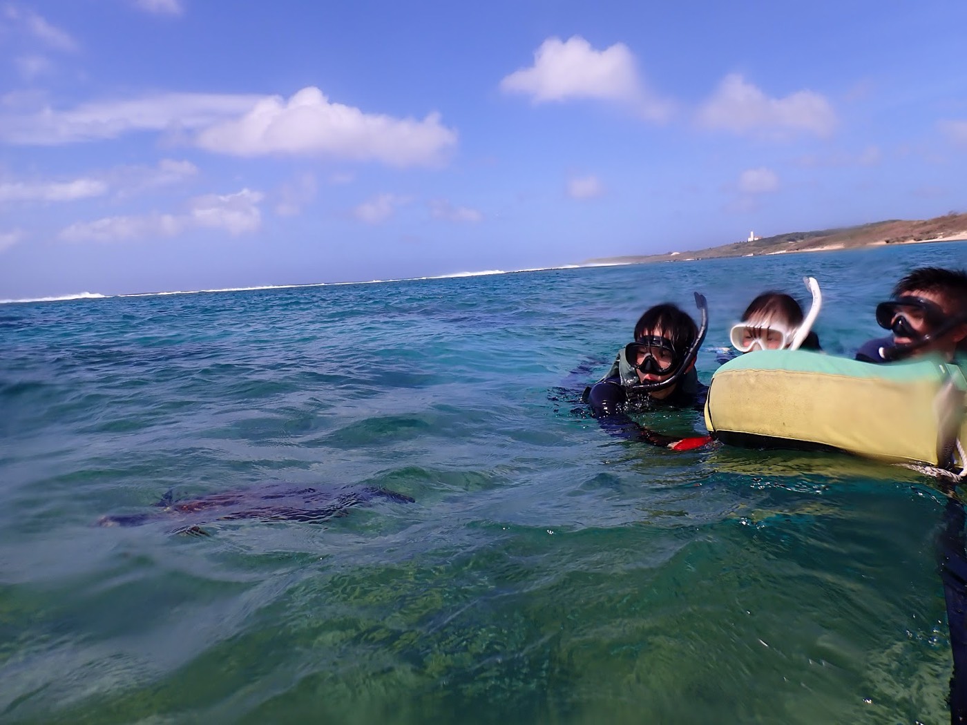 フロートにつかまり、水面からウミガメと沖の景色を観察する参加者