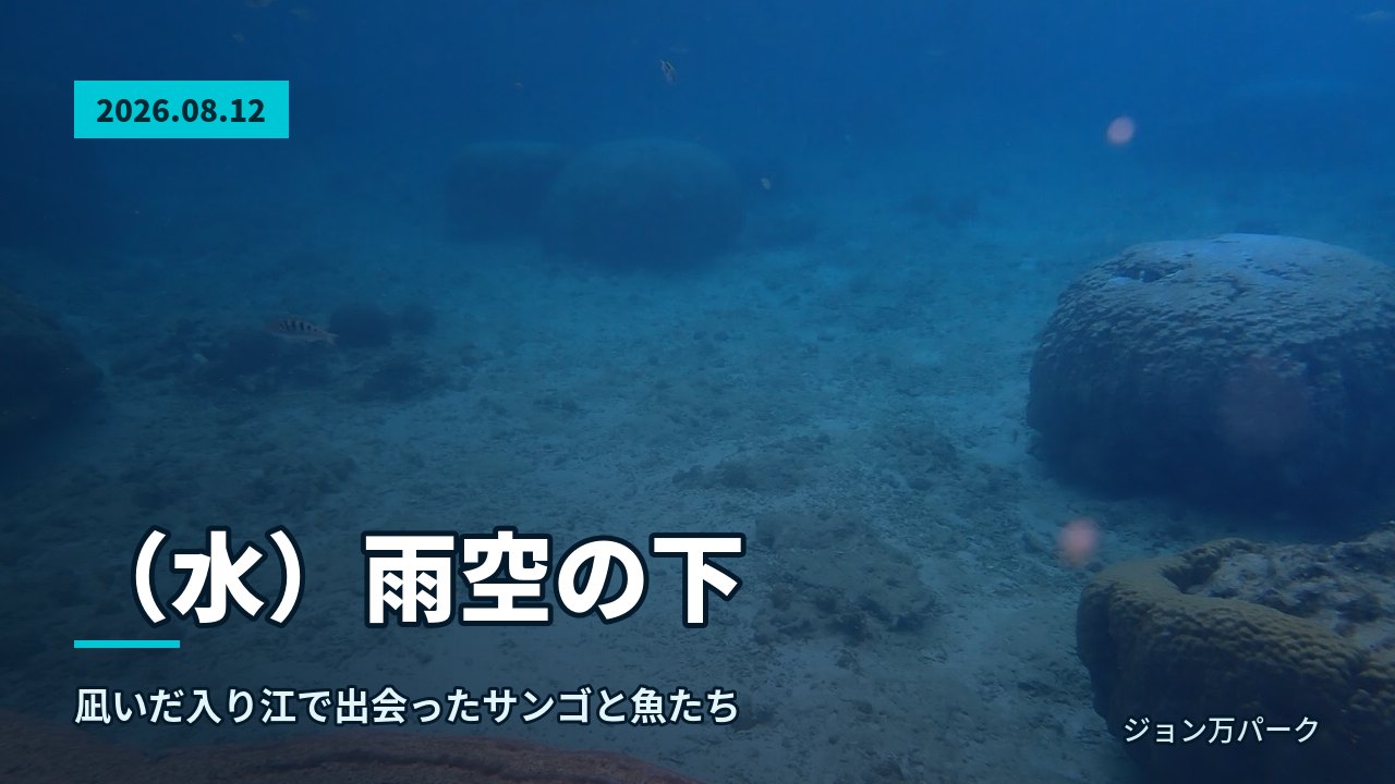 青い海中に丸みを帯びた岩状サンゴが点在し、景観が広がる