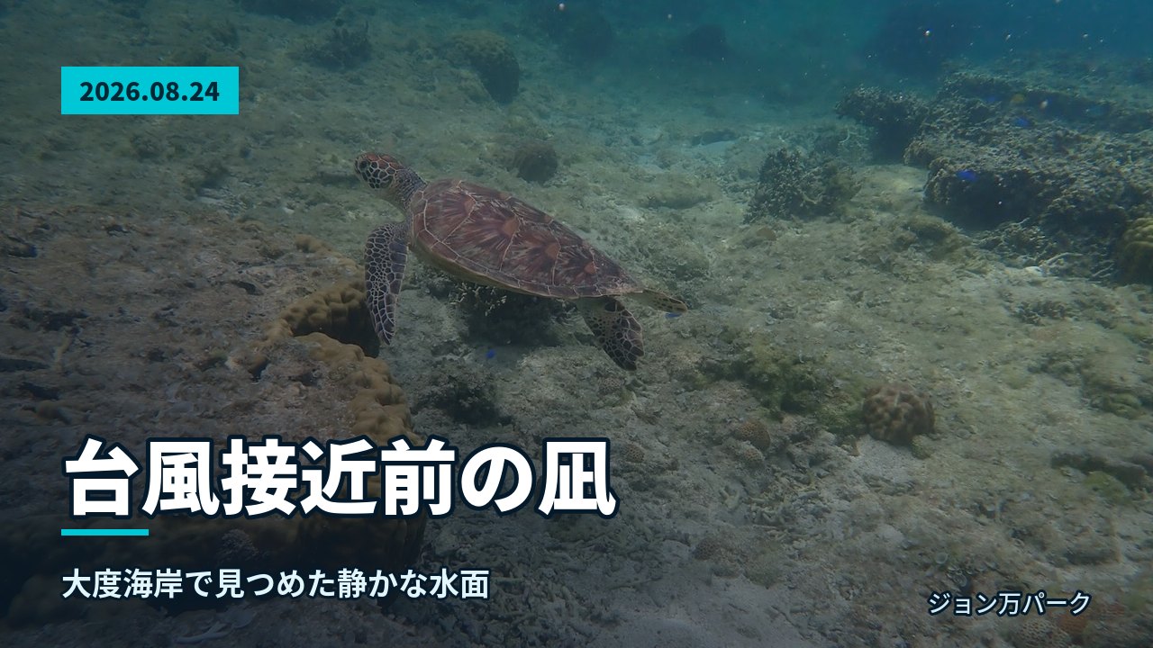 海中を優雅に泳ぐウミガメと、その奥に見える参加者