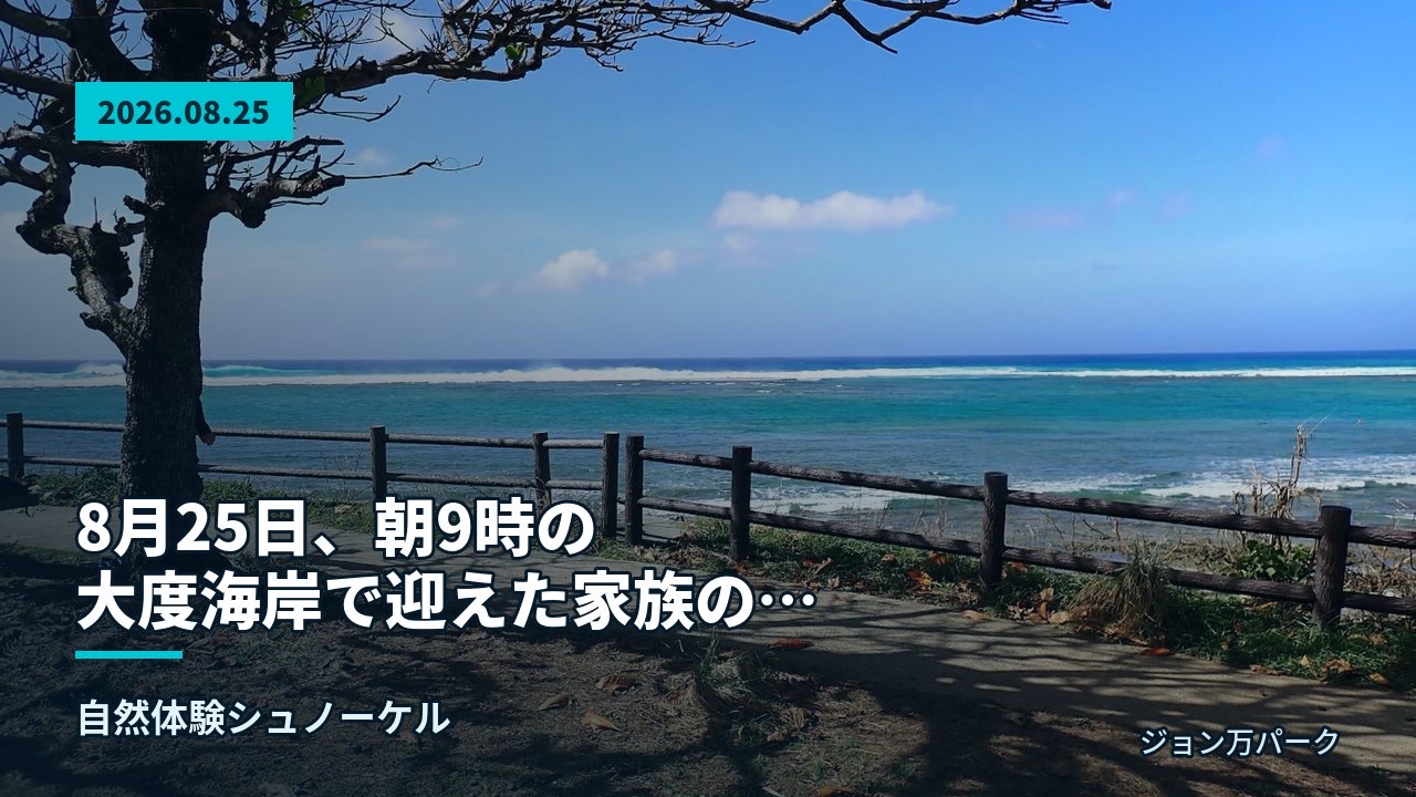 大度海岸の木陰から青い空と海、白い波が立つリーフを望む