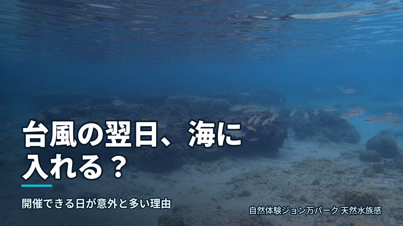 台風翌日の大度海岸。水面越しに見えるリーフと魚の群れ