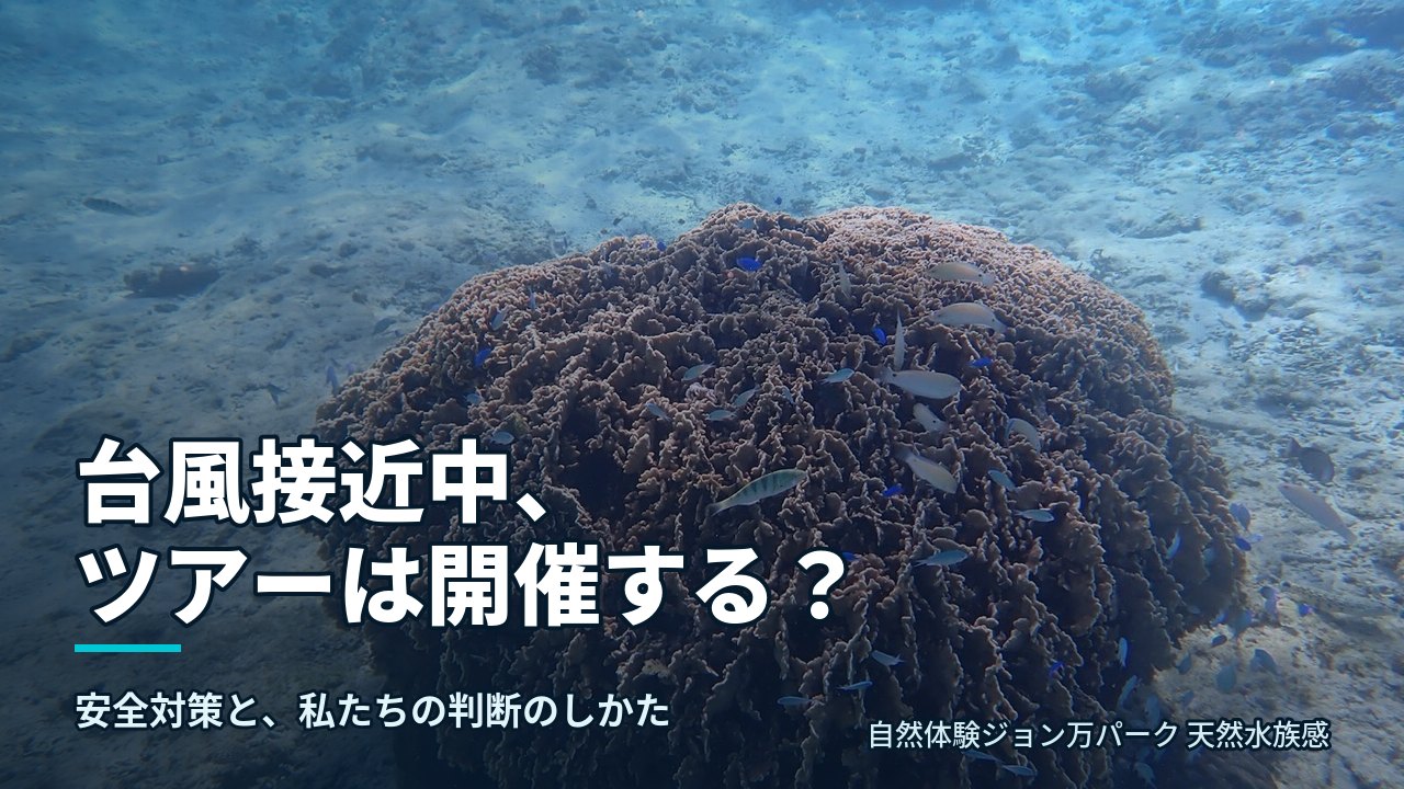 大度海岸の水中のサンゴと群れる小魚。台風接近時の催行判断を伝える記事の代表画像