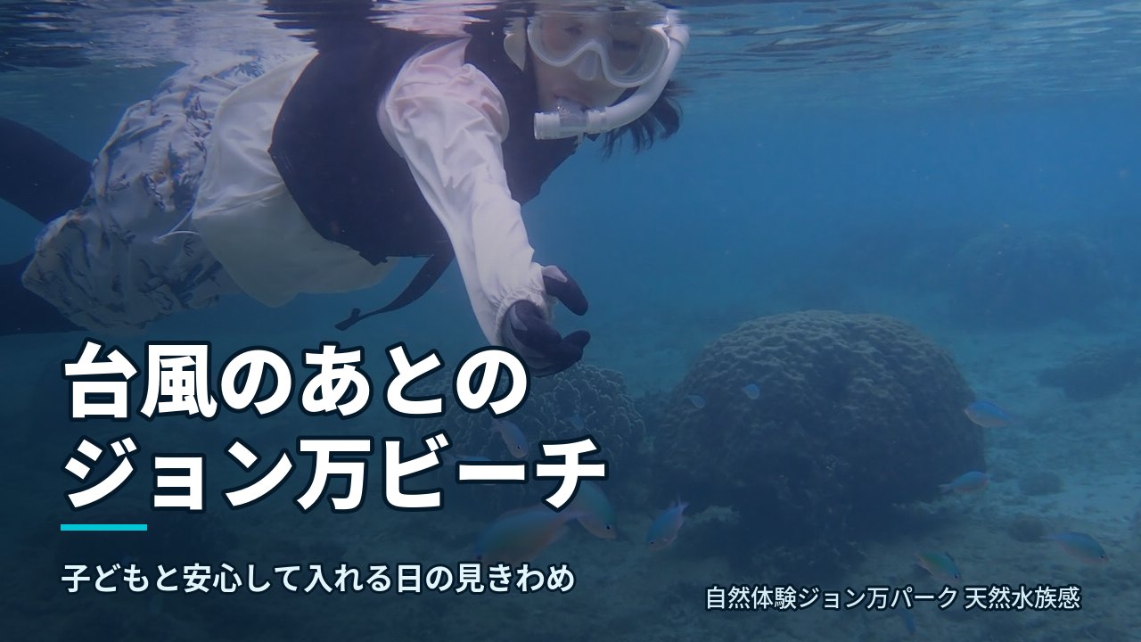 台風通過後の大度海岸の水中。サンゴと魚を観察するシュノーケリング参加者