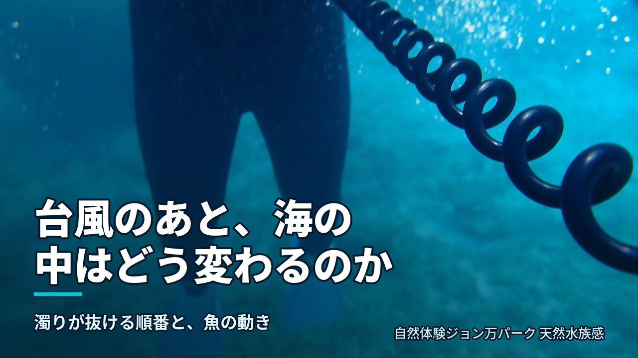 台風通過後の大度海岸の水中。透明度と砂地・岩場の様子