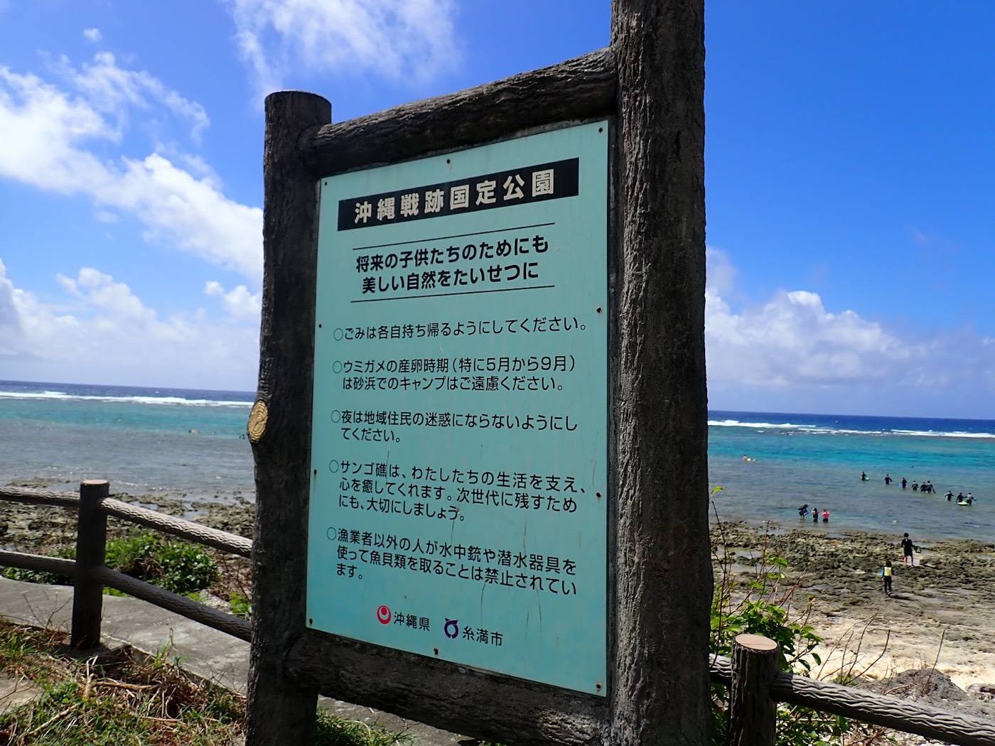 浅瀬でサンゴの上をお子様を抱えた担当の池田が移動する様子