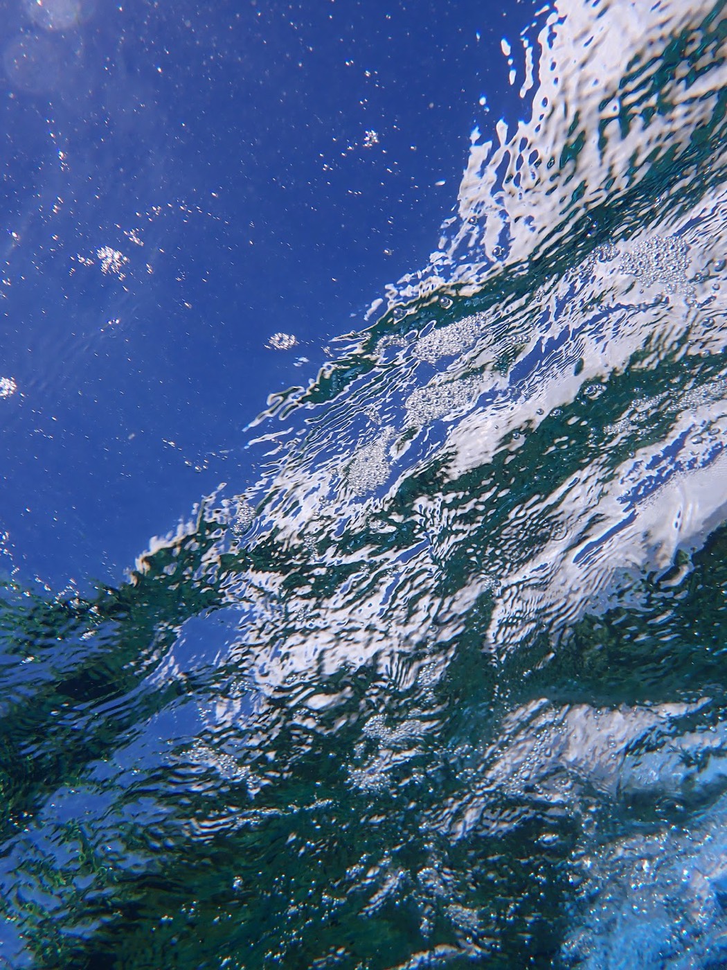 水面を境に青い空と海中が映し出された天然水族感の様子