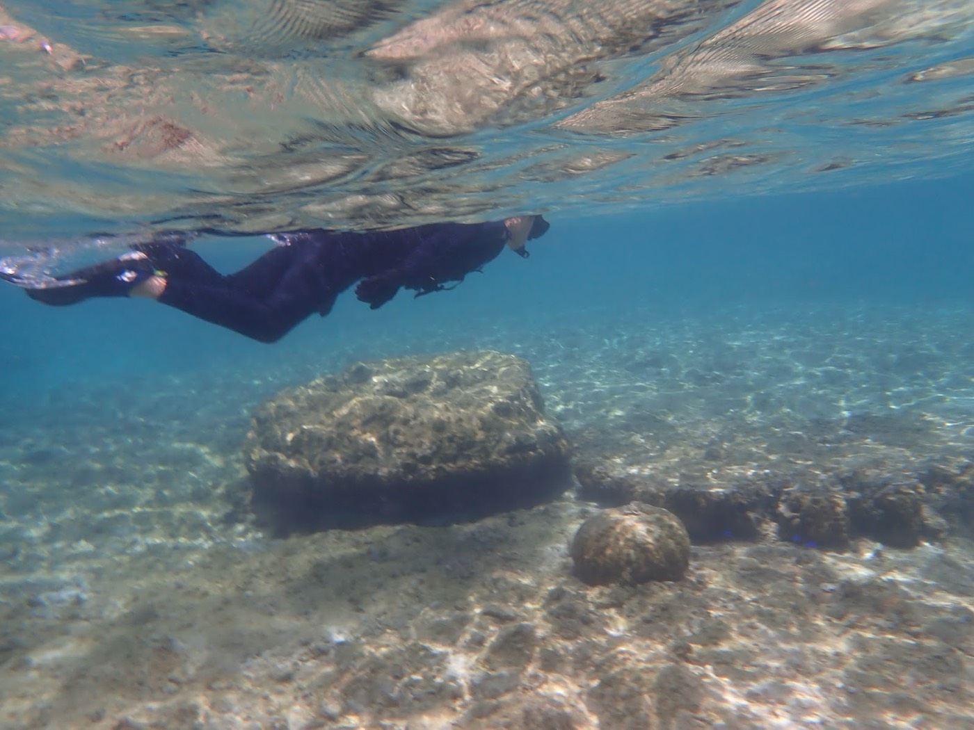 岩やサンゴが点在する浅い海底と魚影が見える水中景観