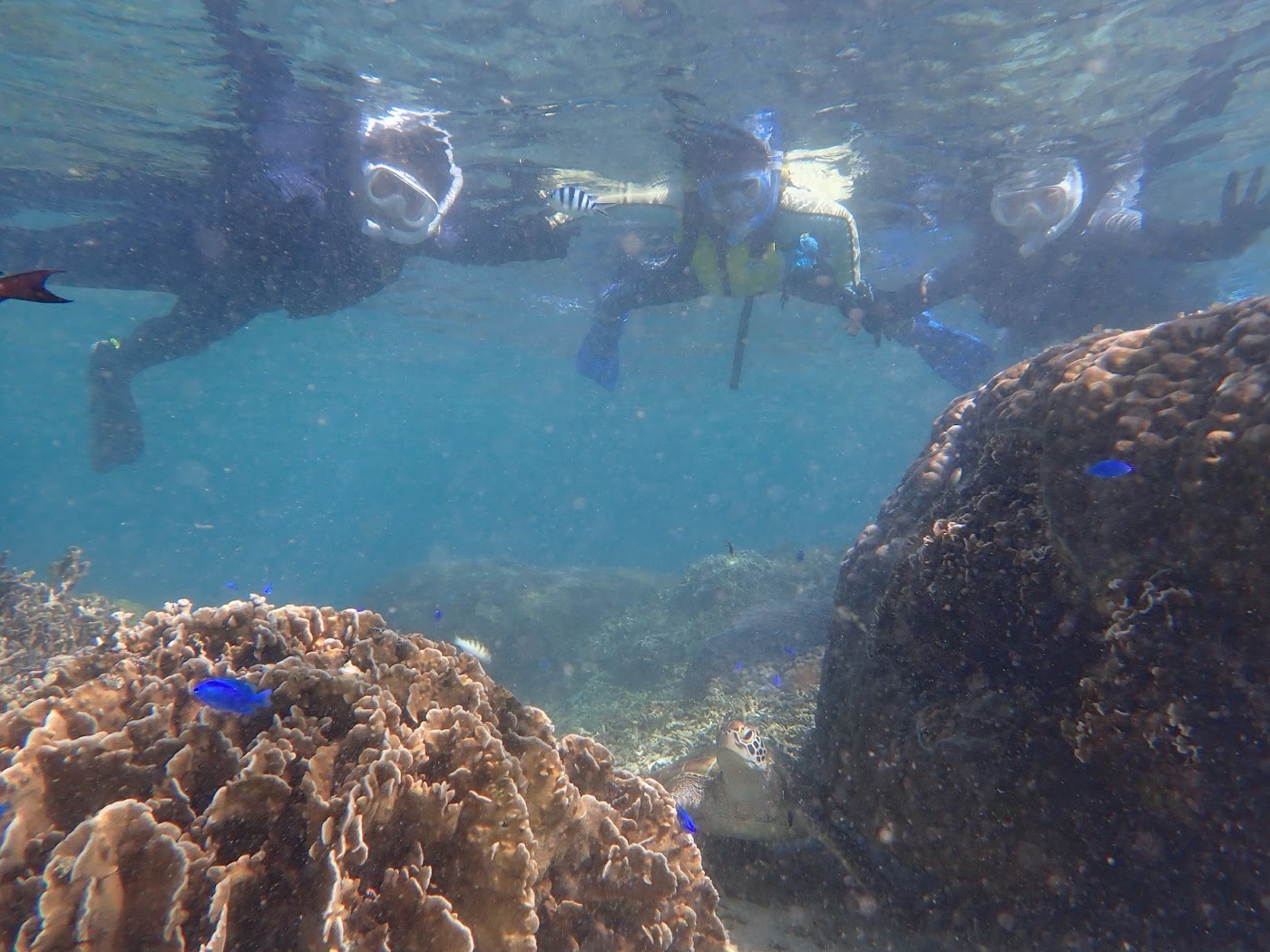 水中から見上げる参加者グループと水面のきらめき、岩と魚