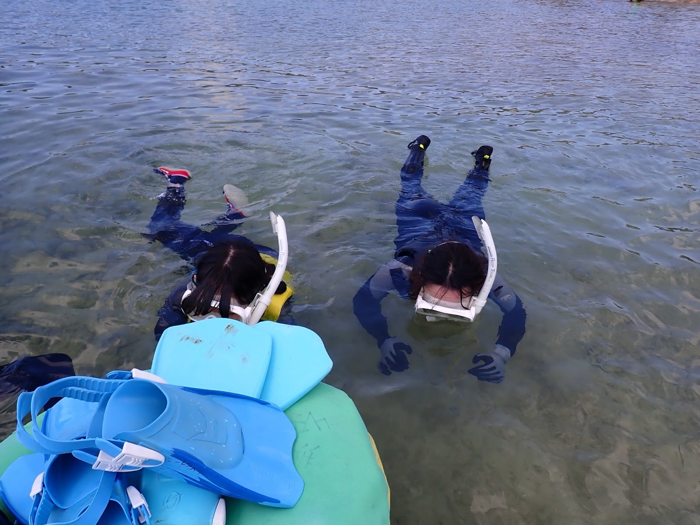 浅瀬でマスクを着けて水中を観察する参加者
