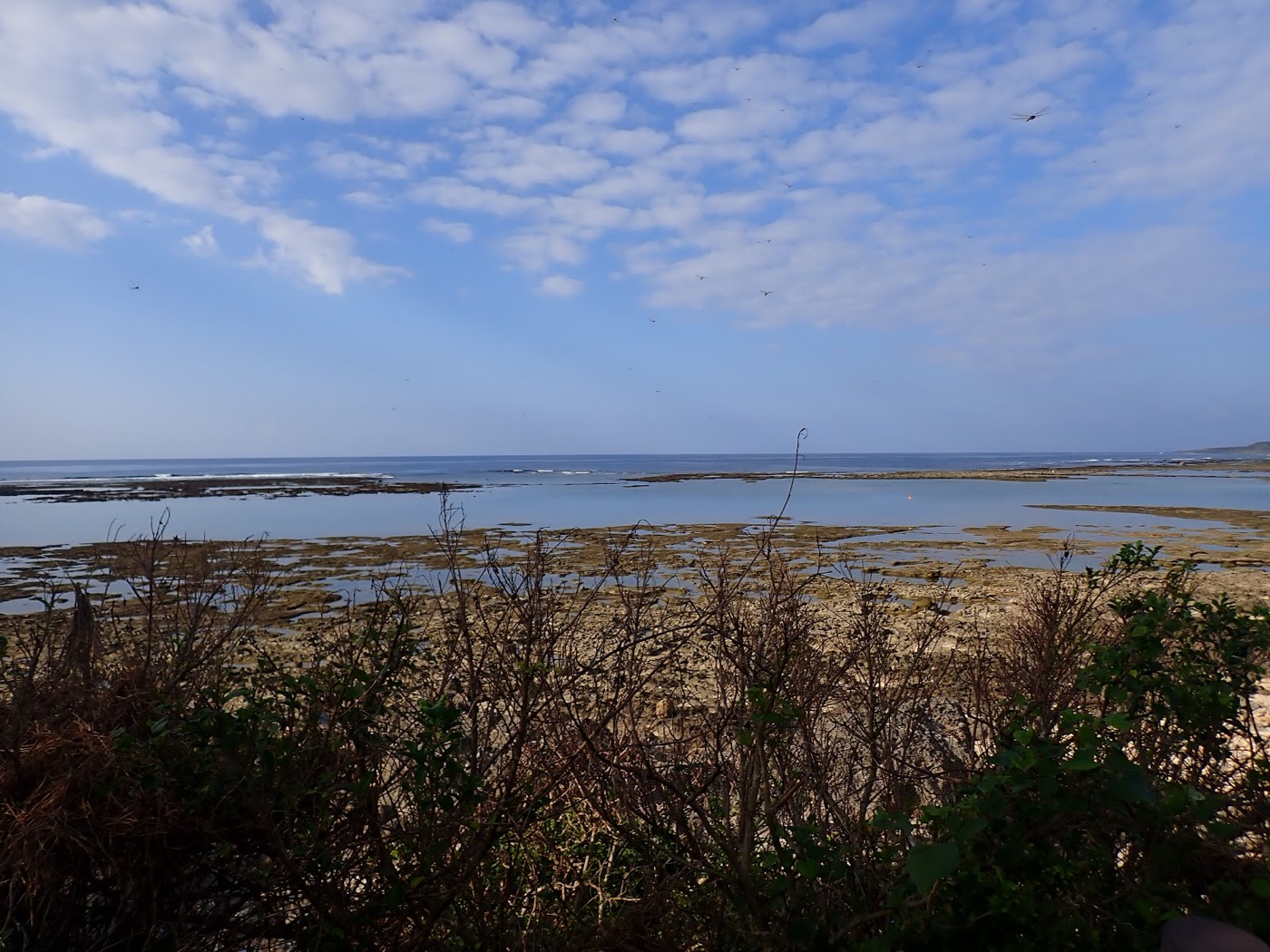 穏やかな大度海岸の遠浅の海と空