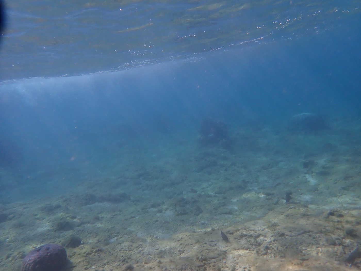 天然水族感で紹介する、朝の光が水面に差し込み、水底のサンゴを照らす天然水族館のような景色が広がる