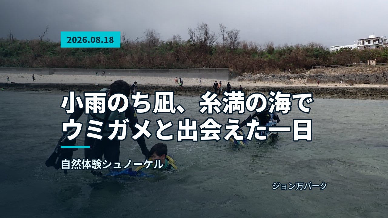 あふれる青い海と空が広がる、穏やかなシュノーケルスポット