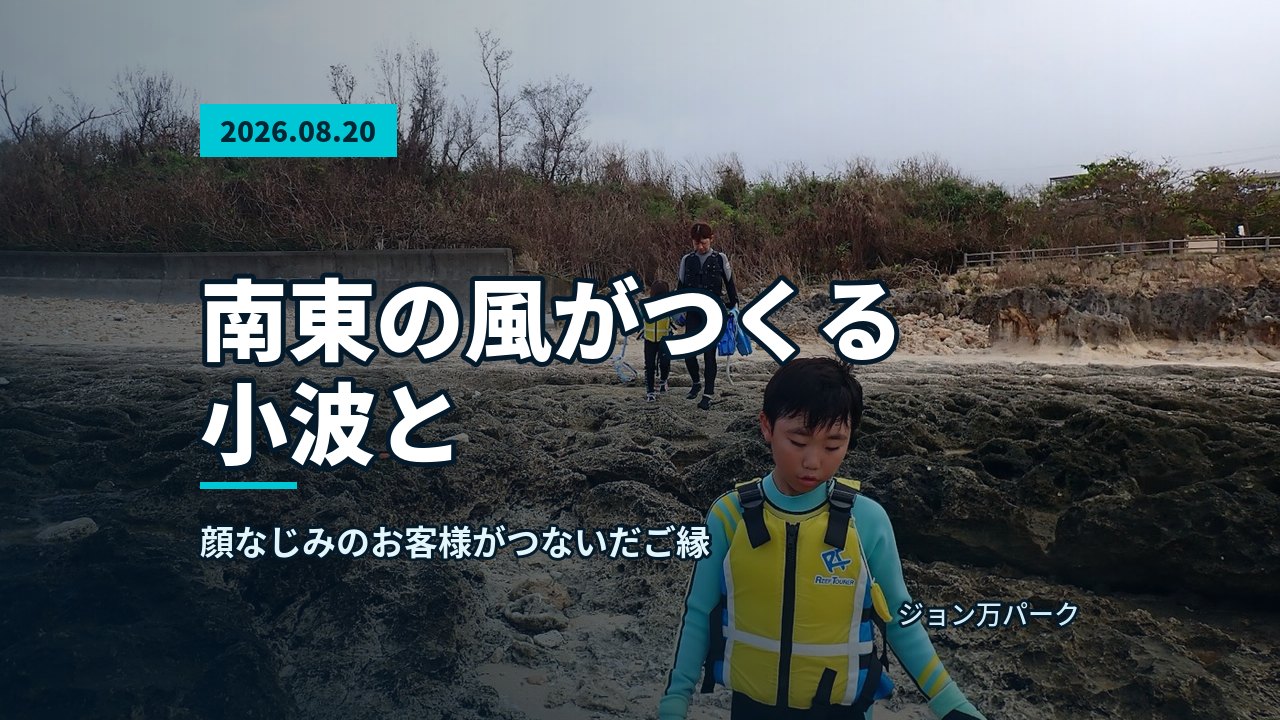 曇り空の下、大度海岸の岩場を歩く参加者と海岸線が広がり、景色が伝わる一枚