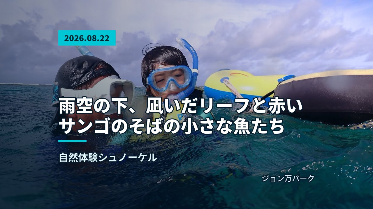 参加者が笑顔でピースをするビーチでの準備風景