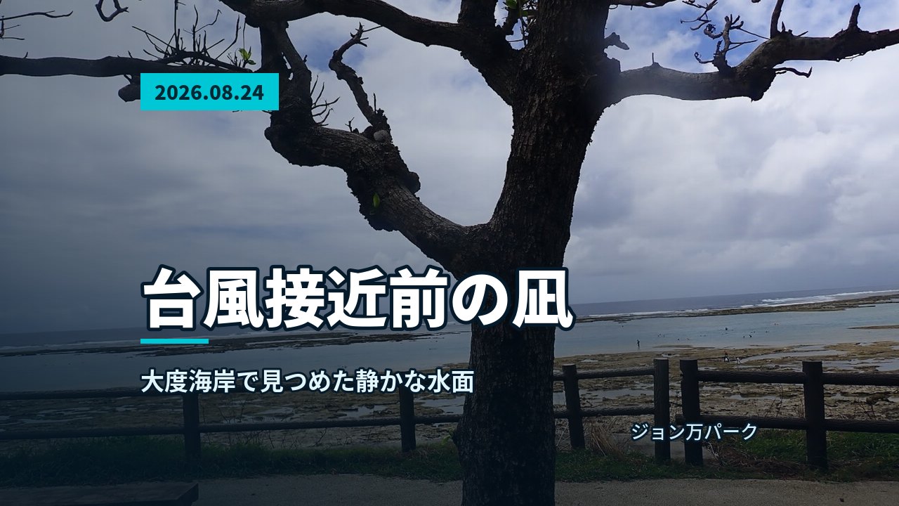 海中を優雅に泳ぐウミガメと、その奥に見える参加者
