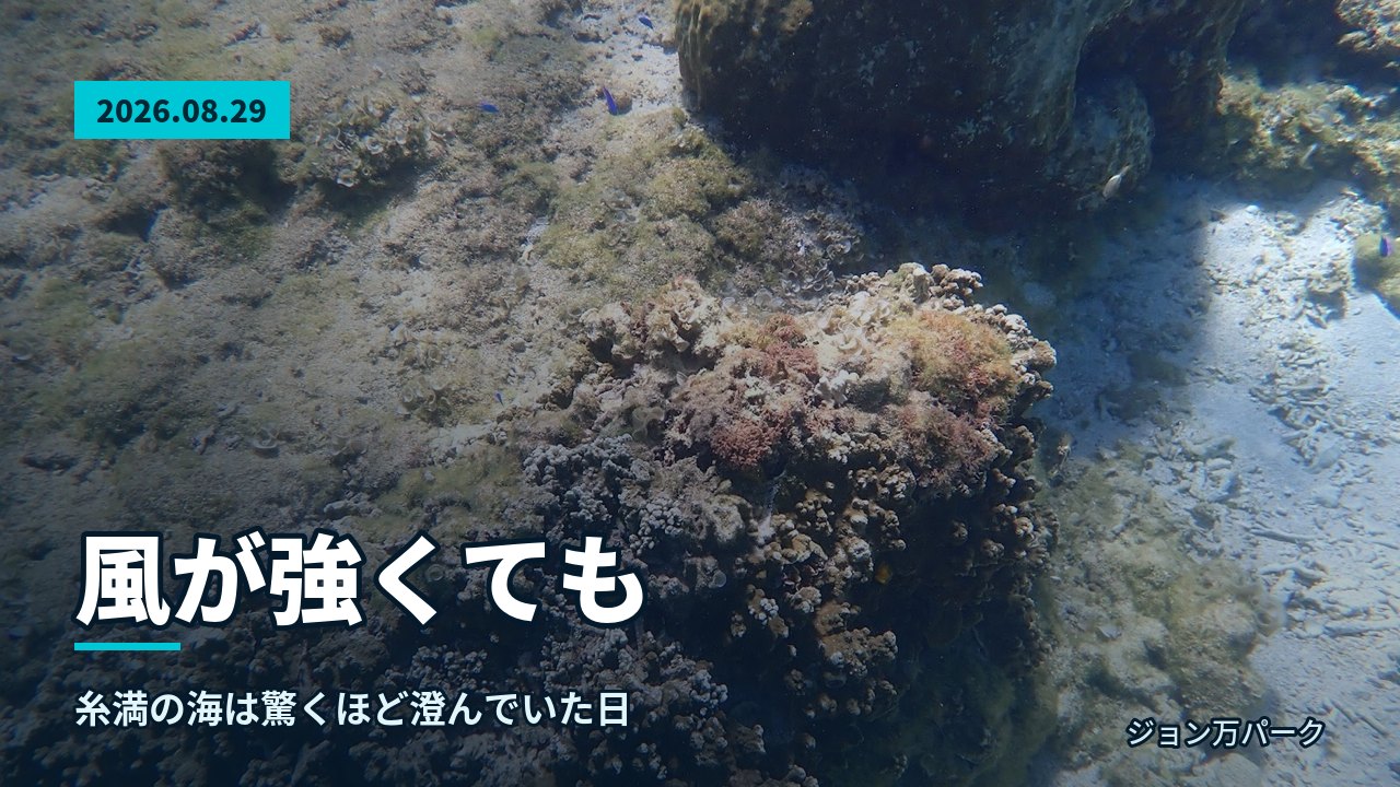 サンゴの周りを青や黄色の魚が泳ぎ、明るい光が差し込む水中景観