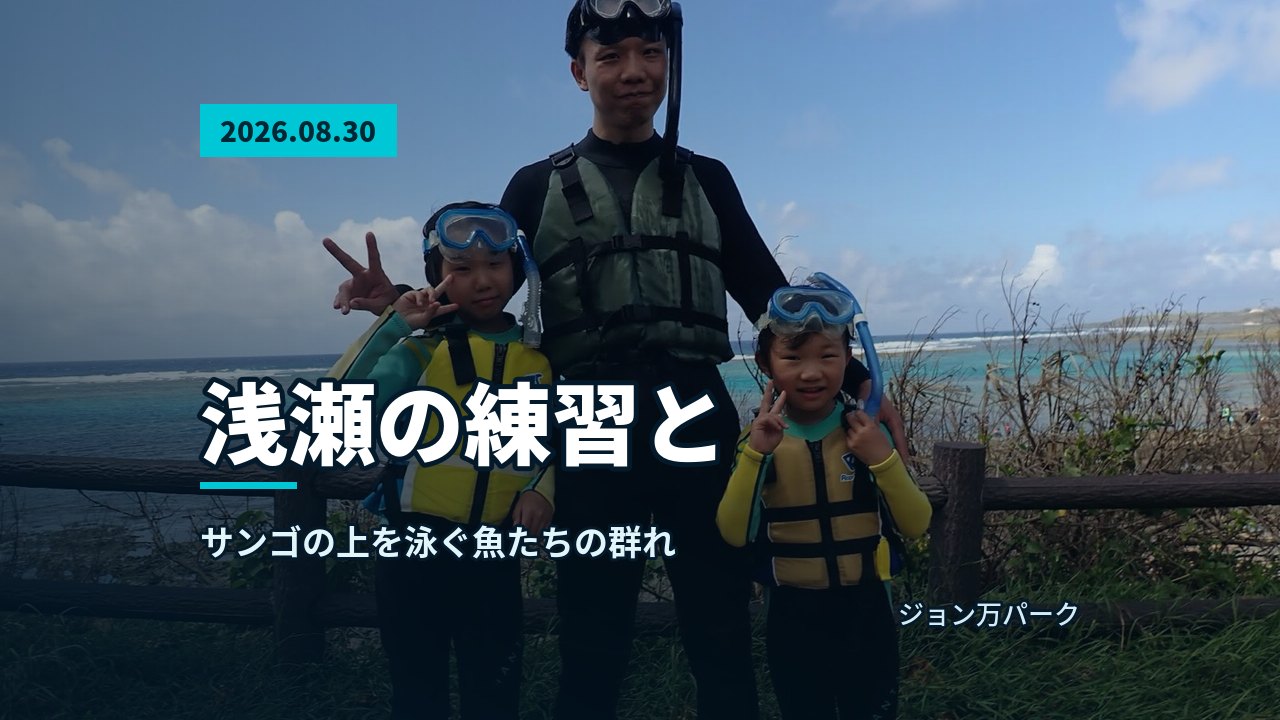 リーフを背景に器材を着けた参加者が浜辺に並ぶある一枚