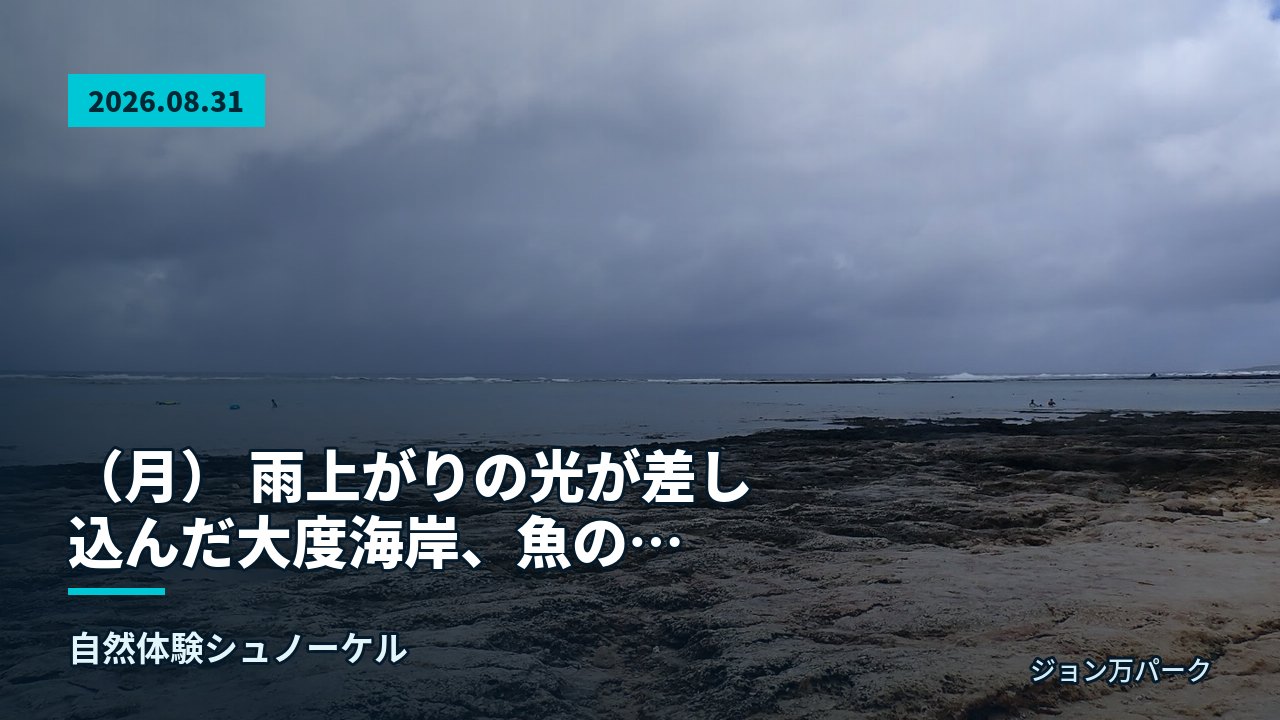 青い海と空の下で笑顔の大人のグループ
