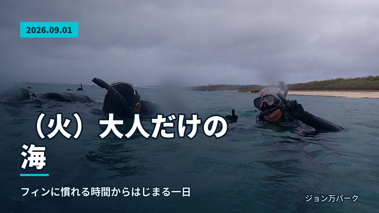 曇り空の下、参加者が海に浮かび自然体験シュノーケルを楽しむ様子。入り口