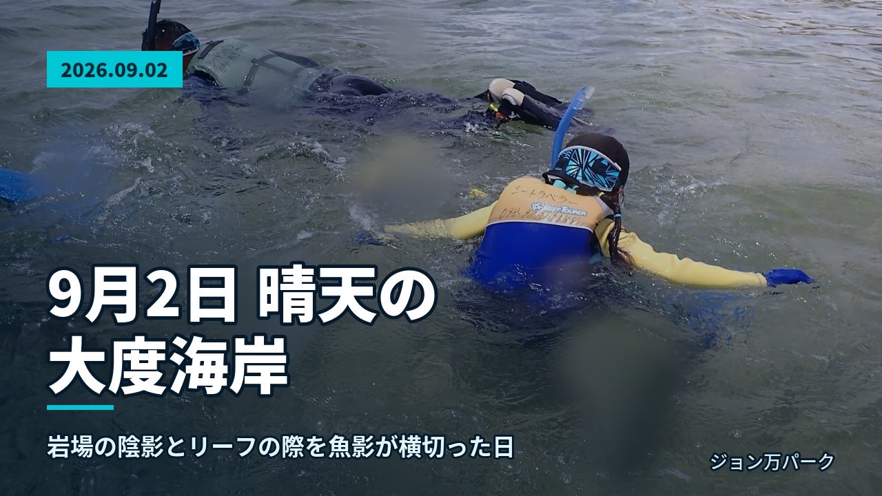 ビーチでフィンとマスクを装着し、フィッティングを確認する準備風景