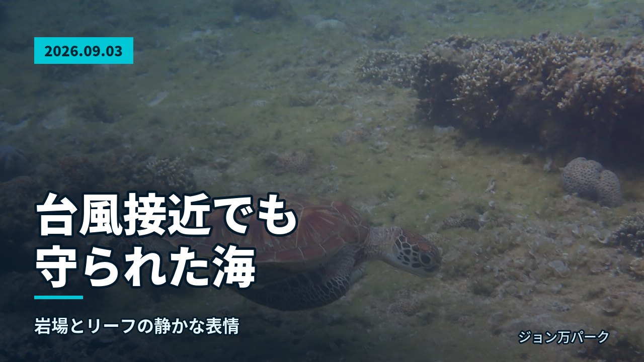 水面の光が差し込む岩場とサンゴが広がる海中風景
