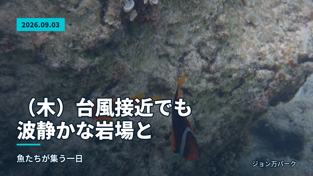 海底の岩場とテーブルサンゴが広がる明るい海中風景