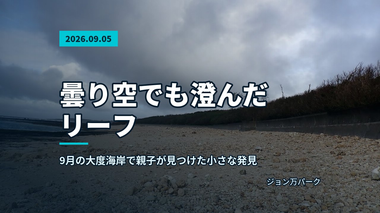 サンゴの隙間から顔を出す鮮やかな模様の魚が海中で際立つ様子