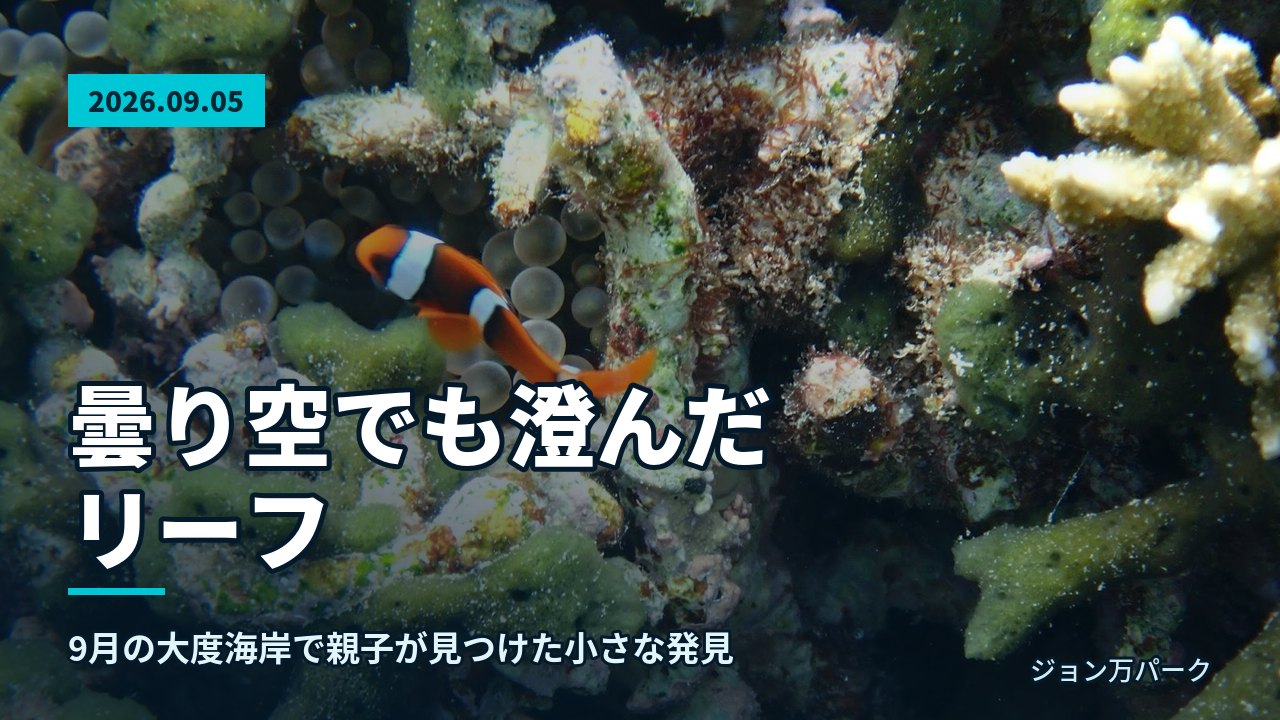 サンゴの隙間から顔を出す鮮やかな模様の魚が海中で際立つ様子