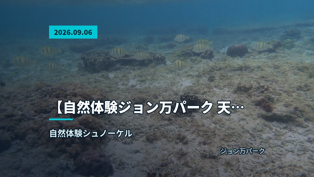 水面から見上げた水中の様子と光の揺らめき