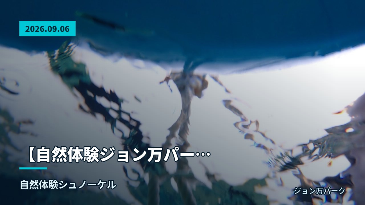 水面から見上げた水中の様子と光の揺らめき