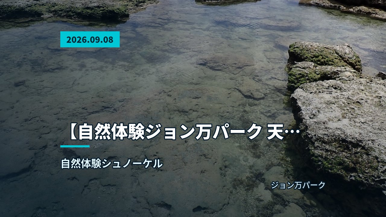 サンゴの近くで魚を観察するダイバーの水中風景