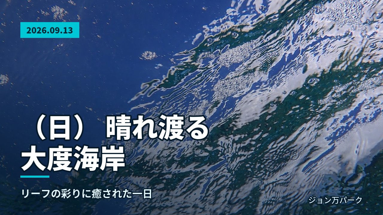 水面を境に青い空と海中が映し出された様子
