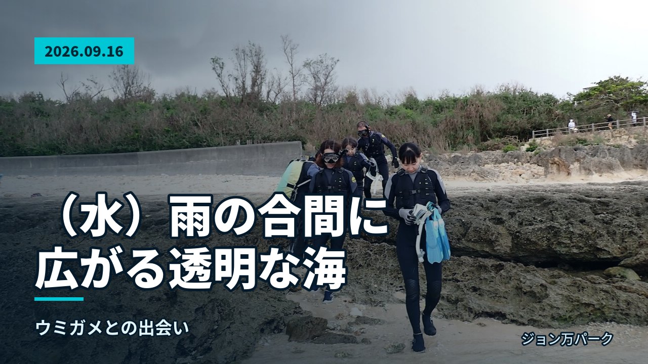 あふれる海岸の岩場を歩いて海に向かう参加者たち