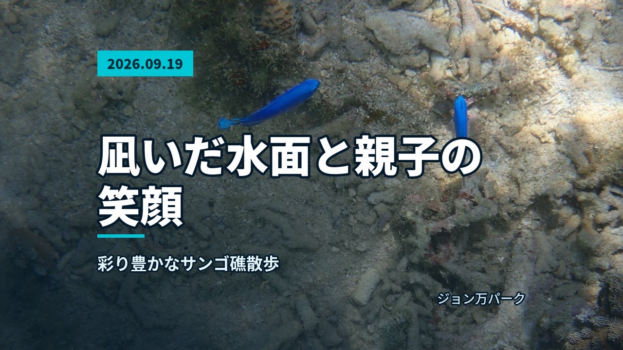 水面を漂いながら自然体験シュノーケル