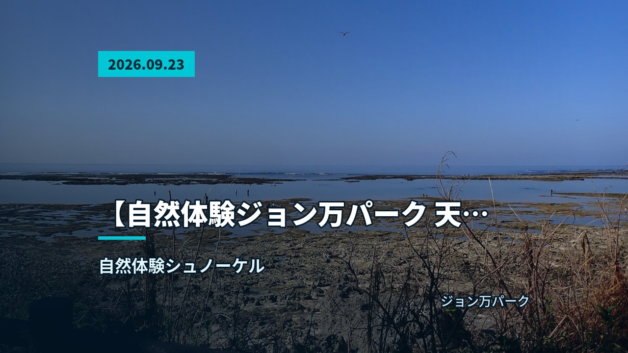 あふれる、青い空と広がるリーフの海岸風景
