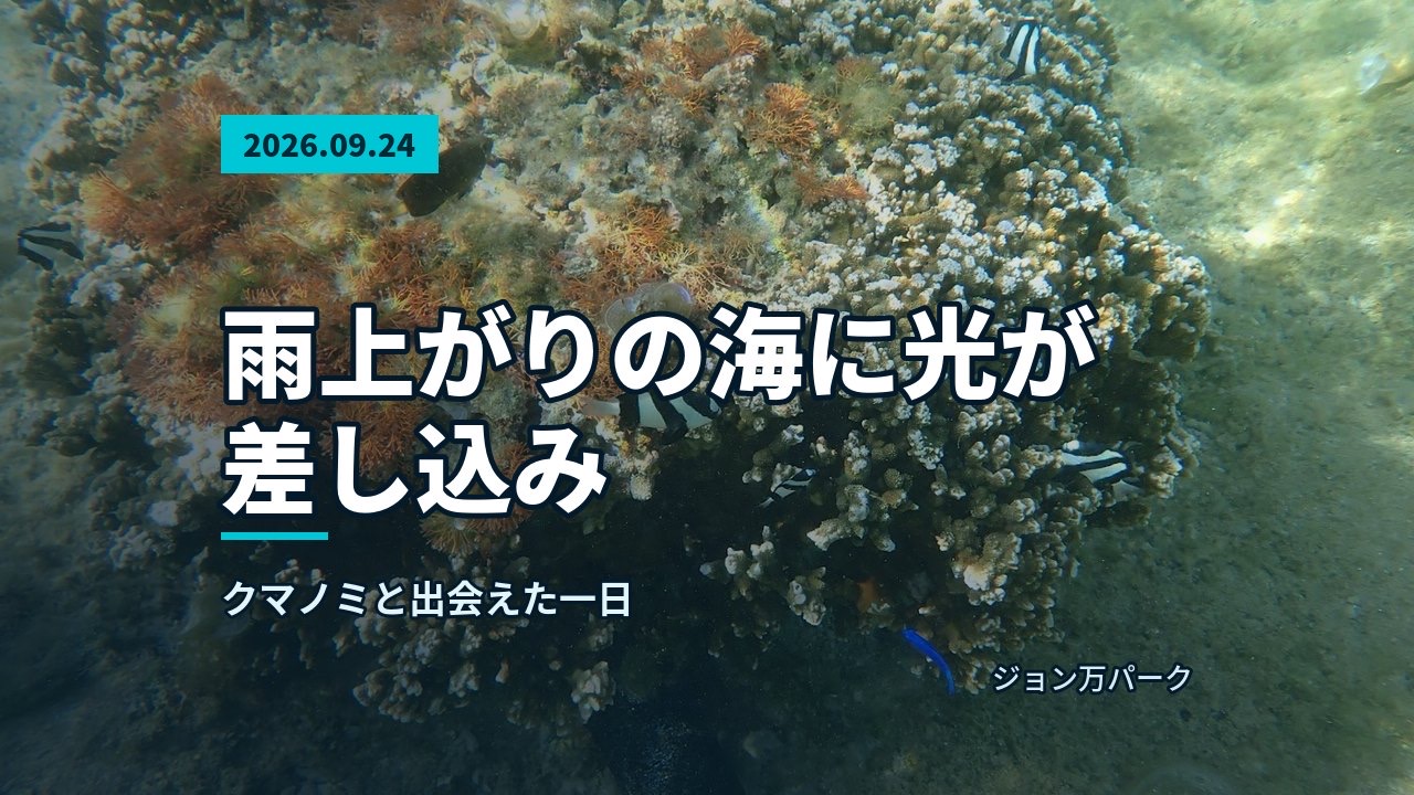 海底に設置されたサンゴと、その周りを泳ぐシマシマ模様の魚や青い魚