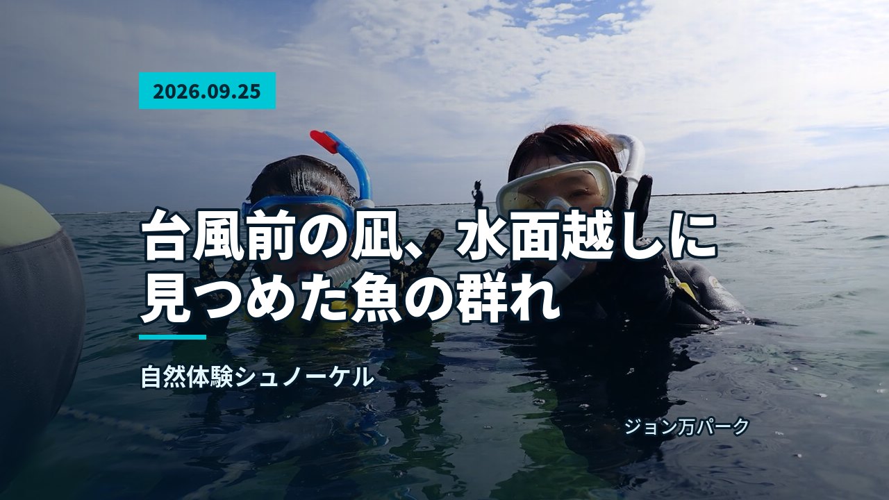 マスクを着けて水面に浮かび周囲を見渡す参加者の様子