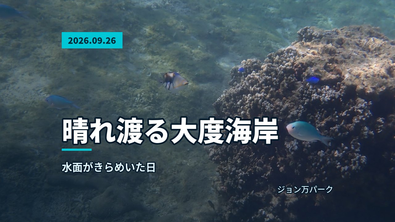 サンゴと小さな魚たちが集まる海底の様子