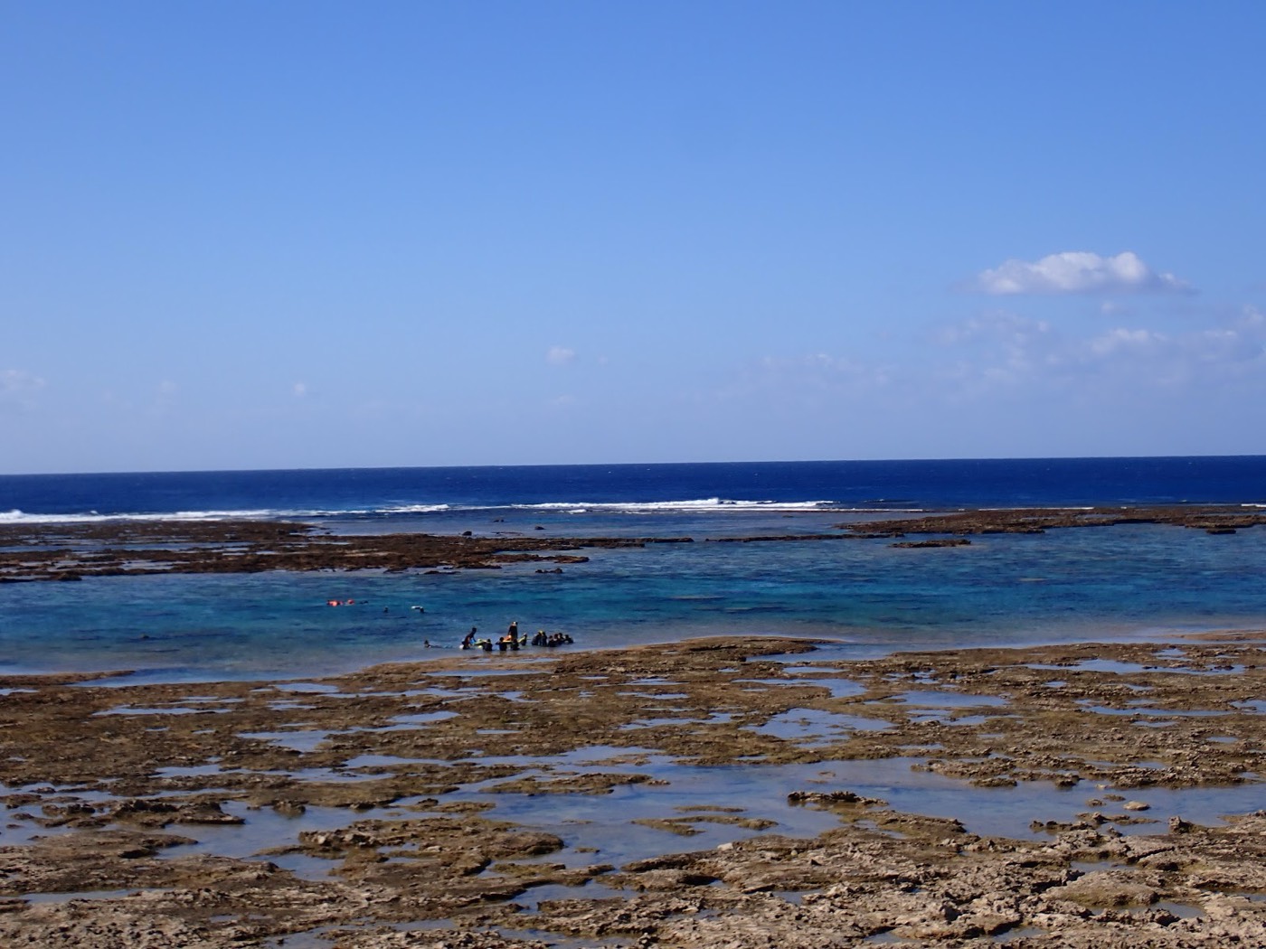 天然水族感で紹介する、天然水族館の穏やかなリーフと青い海にシュノーケルを楽しむ参加者たち